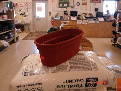 12" oval planter, Terra cotta