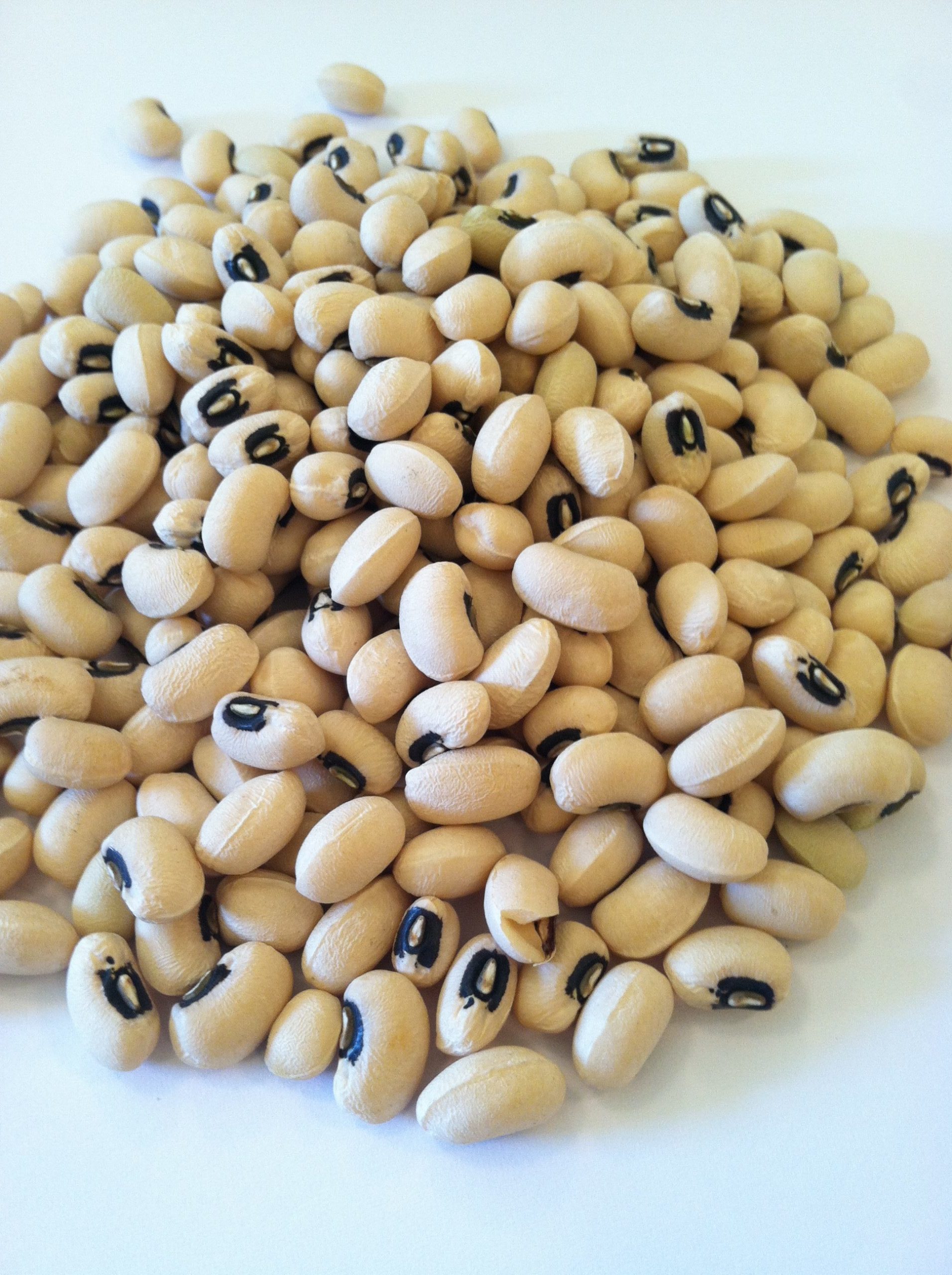 500 BLACKEYE PEA Black Eye Eyed Southern Cow Peas Seeds Heirloom Fresh Bean