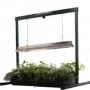 Grow Light 2 ft