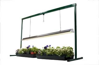 Grow Light 4 ft