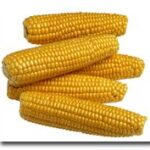 Illini Xtra Sweet F1 SH2 Treated