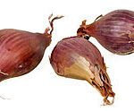 Shallots 1 Shallots
