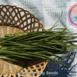 Chives, garlic-org 1 Chives, garlic-org