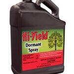 Dormant Oil-Gallon 1 Dormant Oil-Gallon