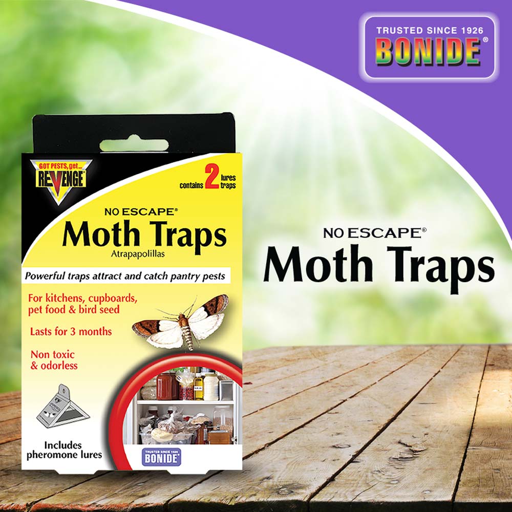 Monterey Pantry Moth Trap & Lure