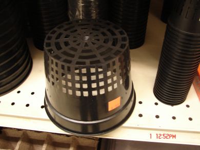 6" net cup