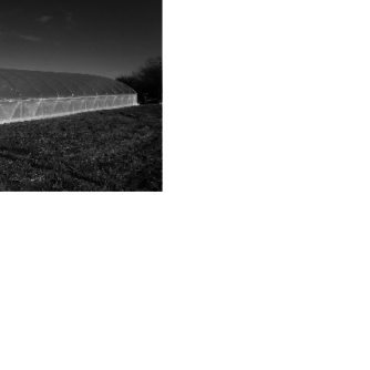 20x48x8 High Tunnel Morgan County Seeds 20x48x8 High Tunnel