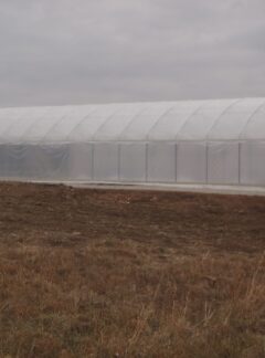 Greenhouses