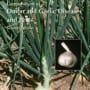 Compendium of Onion and Garlic Diseases and Pests, Second Edition