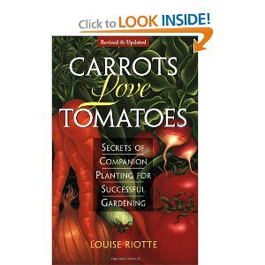 Carrots Love Tomatoes