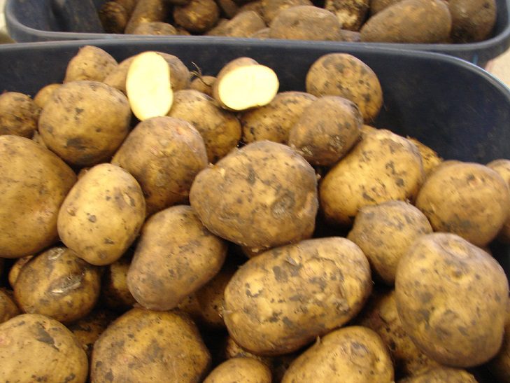 Yukon Gold