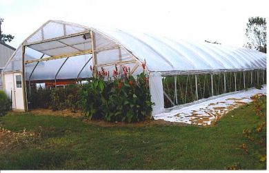 30x96 Greenhouse